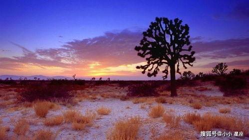 风景最新爆料图片大全,最新爆料风景图片大盘点