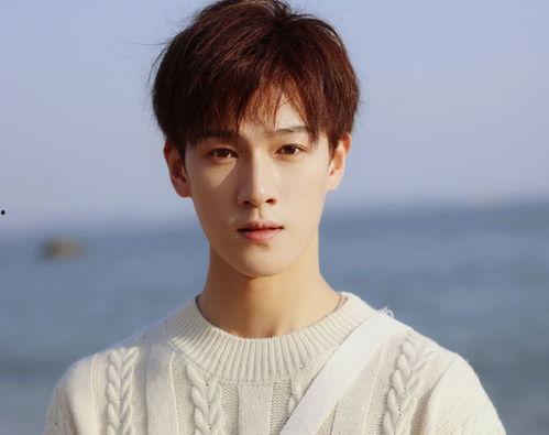 郑伟爆料视频大全集最新,揭秘背后惊人真相